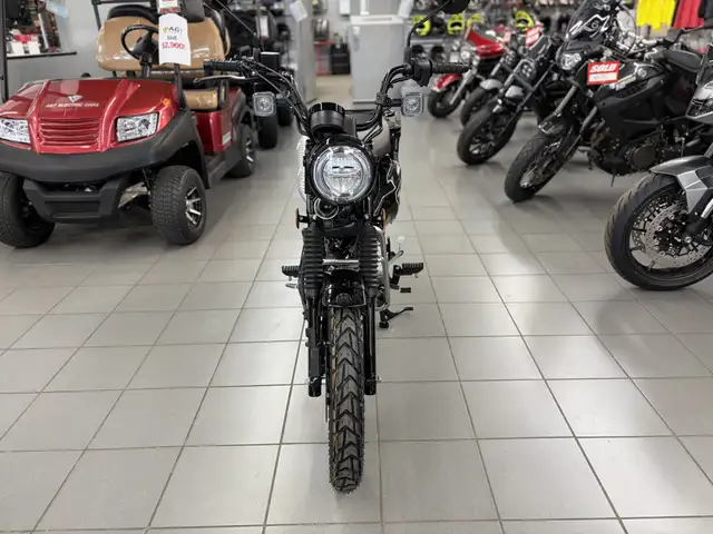 2026 Honda Trail 125 in Street, Cruisers & Choppers in Kitchener / Waterloo - Image 5
