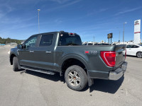 Remote Start, Apple CarPlay, Android Auto, Aluminum Wheels, Ford Co-Pilot360! SALES HOTLINE sales@cr... (image 2)