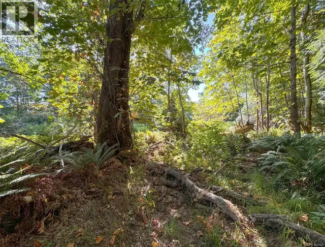 Lot 7 The Strand Gabriola Island, British Columbia in Land for Sale in Nanaimo - Image 15