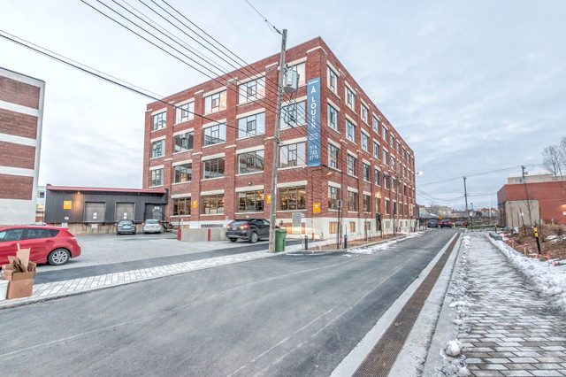 Espace industriel rénové à louer 2 quais de chargement-Parc Ex dans Espaces commerciaux et bureaux à louer  à Ville de Montréal - Image 2