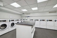 1 Month Free Rent No Last Month's Rent Deposit Free Storage Locker Visit our Website: https://www.ca... (image 7)