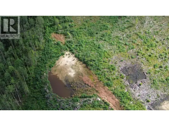 1111 BIRLEY ROAD Buick Creek, British Columbia in Land for Sale in Fort St. John - Image 18