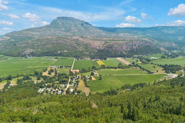 Enjoy the Peace & Serenity of Salmon Valley in Land for Sale in Vernon - Image 3