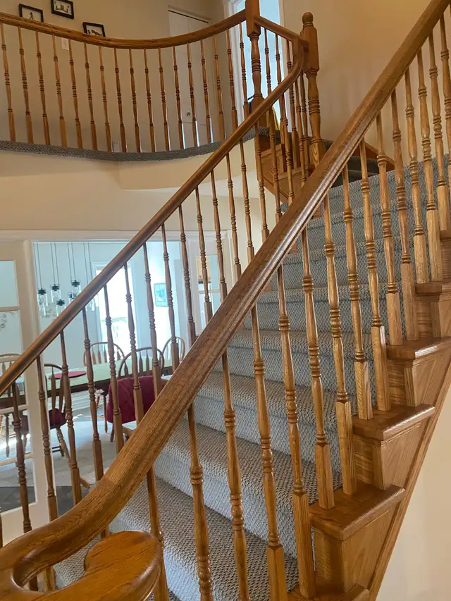 Carpet Installer418454779599278083