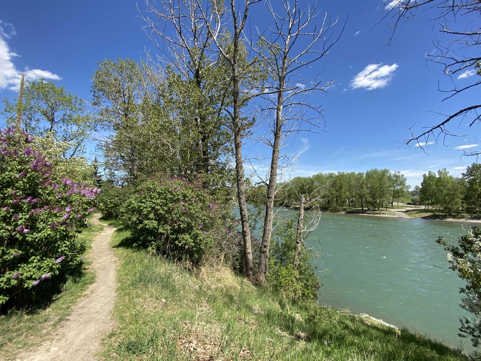Bowness Apartment For Rent 5
