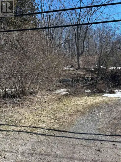Location location location! This well Treed vacant lot on 0.28 of an acres in the township of Marmor...