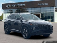 This Hyundai Tucson Hybrid delivers a Intercooled Turbo Gas/Electric I-4 1.6 L/98 engine powering th... (image 6)