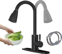 Black Kitchen Faucet with