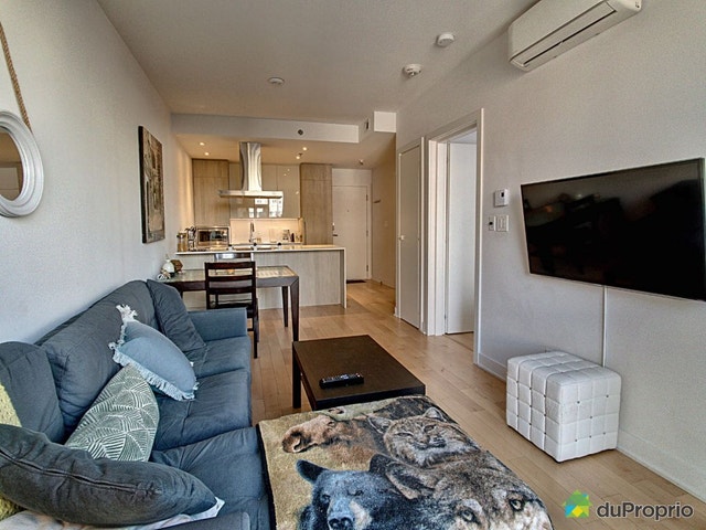 $450,000 - Condominium in Ville-Marie (downtown, old Mtl) — photo 3