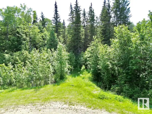 21 190061 TWP RD 654 Rural Athabasca County, Alberta628657151102731225