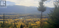 DL 6034 E 16 HIGHWAY Valemount, British Columbia Quesnel Cariboo Area Preview