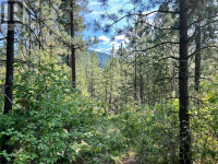 Lot 11 EVANS Road Creston, British Columbia Nelson British Columbia Preview