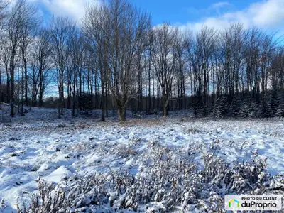 Terrain de 50 acres avec possibilité d'érablière et terrain cultivable pour projets maraîchers. Terr...