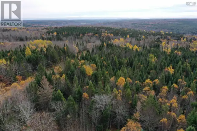 114 Acres+ MacMillan Road Willowdale, Nova Scotia in Land for Sale in New Glasgow - Image 6