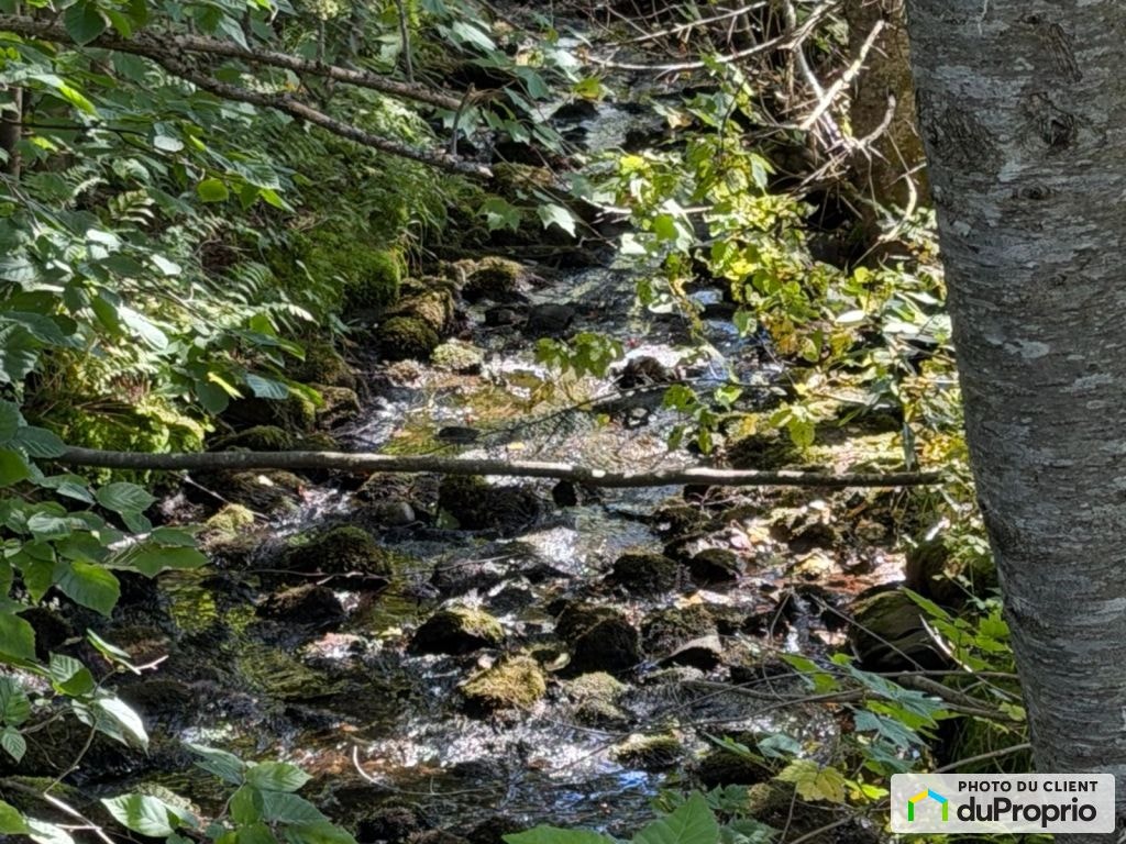$94,900 - Residential Lot for sale in St-Fabien-De-Panet — photo 2