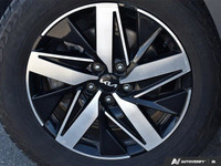 Previous Daily Rental: Window Grid Antenna, Wheels: 7.0J x 17 Alloy, Wheels w/Silver Accents, Variab... (image 8)