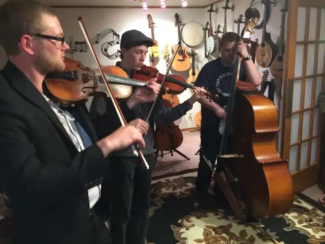Violin, cello and string instrument Luthier550222902529239046