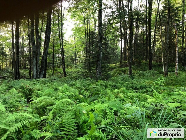 $249,000 - Residential Lot for sale in Eastman — photo 3