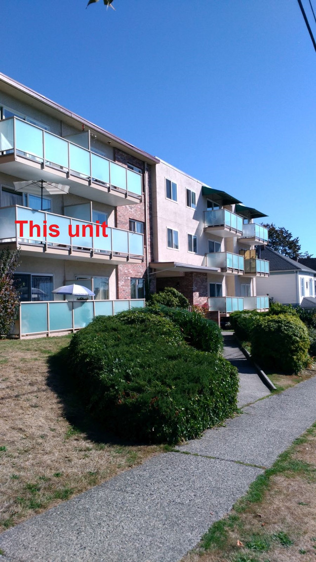 1 Bedroom Apartment for Rent - 221 Seventh Street in Long Term Rentals in Burnaby/New Westminster - Image 2