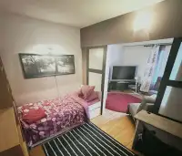 2-room Suite (1 BR+1 Living) with a shared bathroom