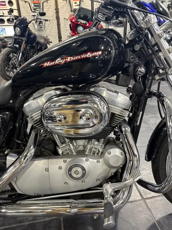 2004 Harley-Davidson Sportster 883 Custom in Sport Bikes in Sudbury - Image 7