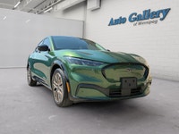 Dual Electric Motors | Single-Speed Automatic Transmission | Electric All-Wheel Drive | Heated Front... (image 6)