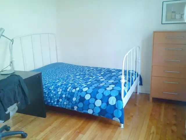 Furnished room, all incl, for guys, metro front Vendome, Feb 1st