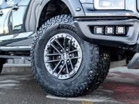 Carget Supercentre is proud to present this 2019 Ford F-150 Raptor! EXTERIOR: MAGNETIC INTERIOR: BLA... (image 3)