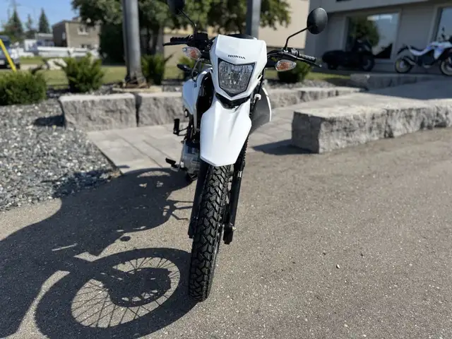 2025 Honda XR150L Standard in Street, Cruisers & Choppers in Kitchener / Waterloo - Image 9