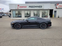 Feel the undeniable thrill of pure American muscle with this stunning 2022 Ford Mustang GT Premium!... (image 1)
