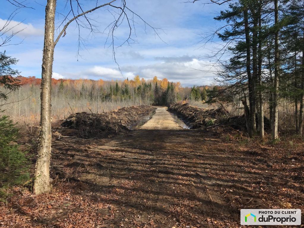 $145,000 - Price taxes not included - Wood Lot in St-Cuthbert — photo 1