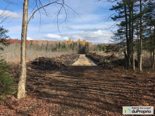 $145,000 - Price taxes not included - Wood Lot in St-Cuthbert — photo 1