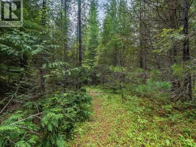 Claybrick Road Lot# 15 Winlaw, British Columbia in Land for Sale in Nelson - Image 3