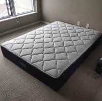 Single to King, Same-Day Mattress Marvels for You