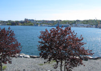Beautiful 2-bedroom on the Dartmouth Waterfront-direct view