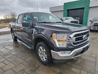 Kijiji Engine: 8 Cylinder Engine 5.0L L/100Km City: 14.8 L/100Km Hwy: 10.9 Safety Equipment ABS And... (image 2)