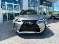 This 2019 Lexus UX250h Luxury stands out from the crowd with convention-shattering design. The bold... (image 4)