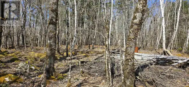 69 Sparkling Spring Lane Labelle, Nova Scotia in Land for Sale in Bridgewater - Image 7