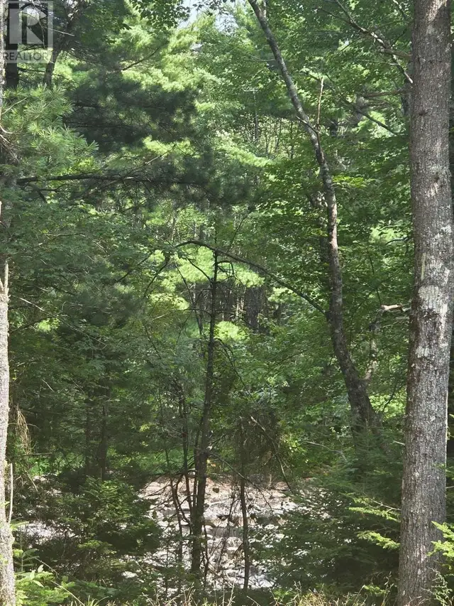 Highway 103 Sable River, Nova Scotia in Land for Sale in Yarmouth - Image 19
