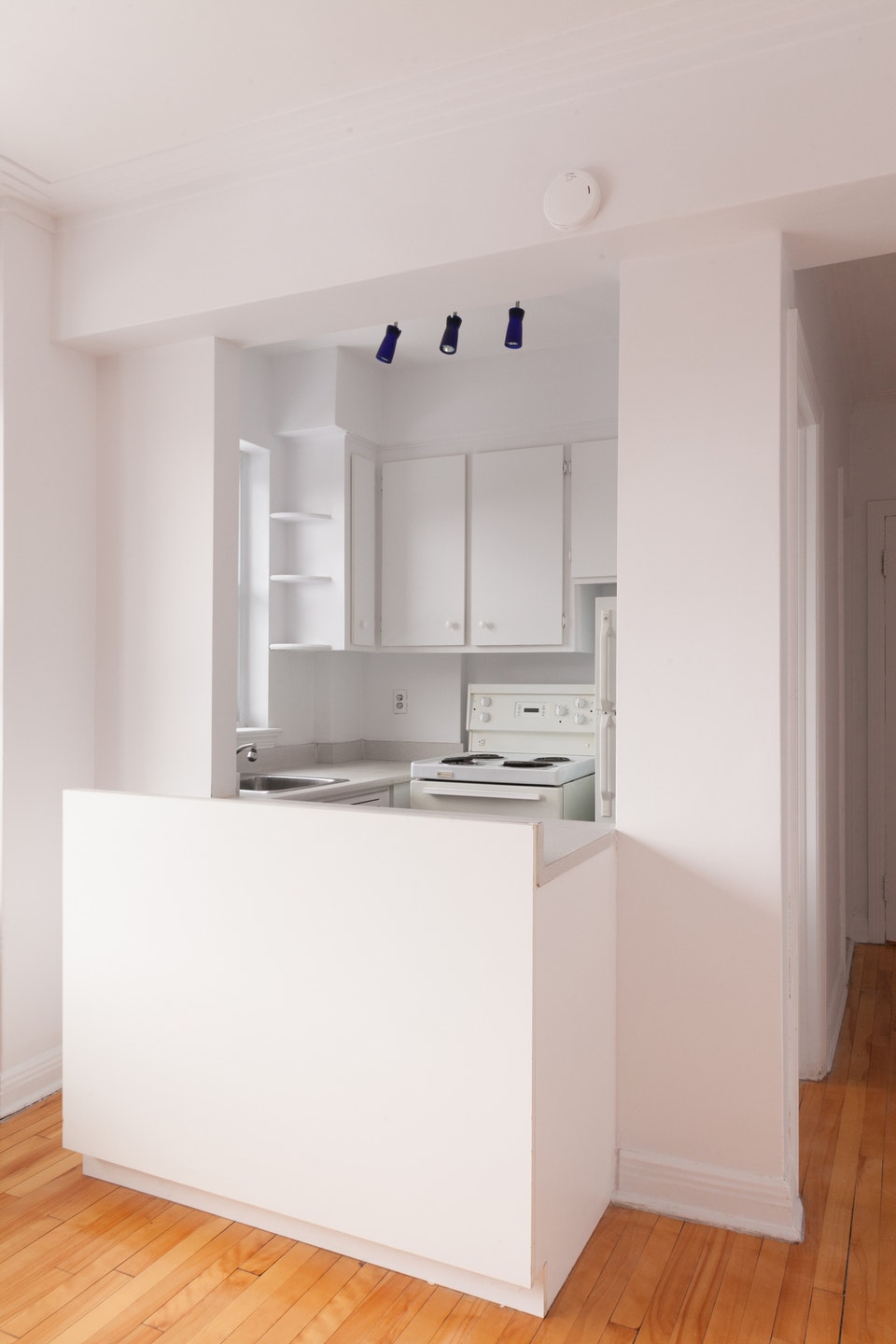 600sqft one-bedroom Westmount apartment near Atwater - ID 807 3