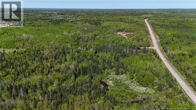 LOT Dargavels Road Bass River, New Brunswick in Land for Sale in Moncton - Image 5