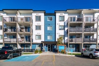 Broadstreet's Evergreen Bend offers 1, 2, and 3 bedroom pet friendly apartments for rent, in the nat... (image 3)