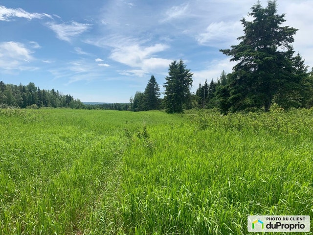 $700,000 - Wood Lot for sale in St-Alexis-De-Matapedia — photo 3