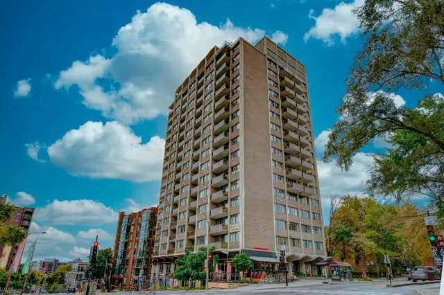 Grand et lumineux Apartment for Rent - 1010 Cherrier dans Locations longue durée  à Ville de Montréal