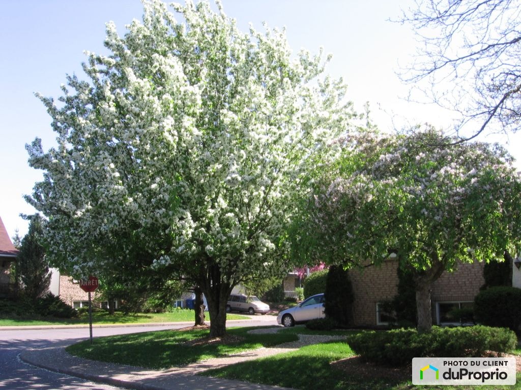 $649,500 - Bungalow for sale in Boucherville — photo 2