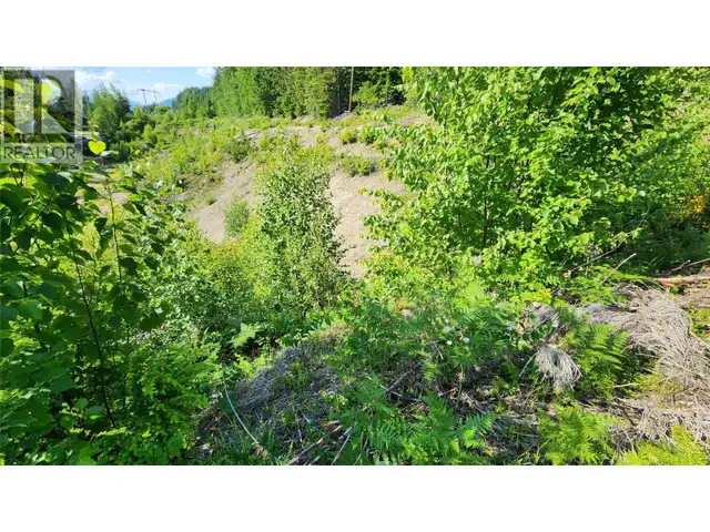 Lot 19 6 Highway Nakusp, British Columbia in Land for Sale in Nelson - Image 4