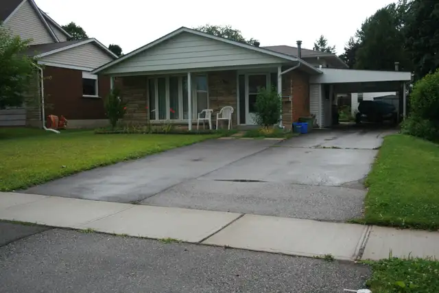 One Bedroom Basement for Rent