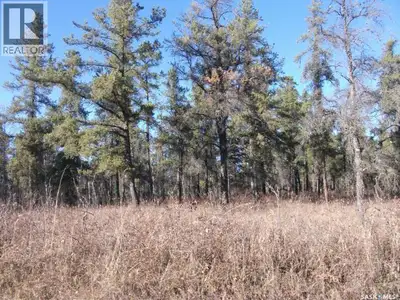 A rare opportunity to secure your own piece of Northern Saskatchewan wilderness. This 1+ acre parcel...