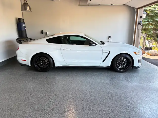 2019 Ford Mustang Shelby GT350 in Cars & Trucks in Oakville / Halton Region - Image 4