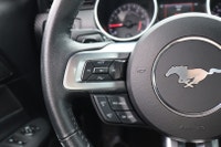 NO ACCIDENT Unleash the thrill of the open road with the 2019 Mustang Ecoboost Coupe. With its bold... (image 9)